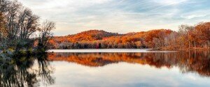 Radnor Lake